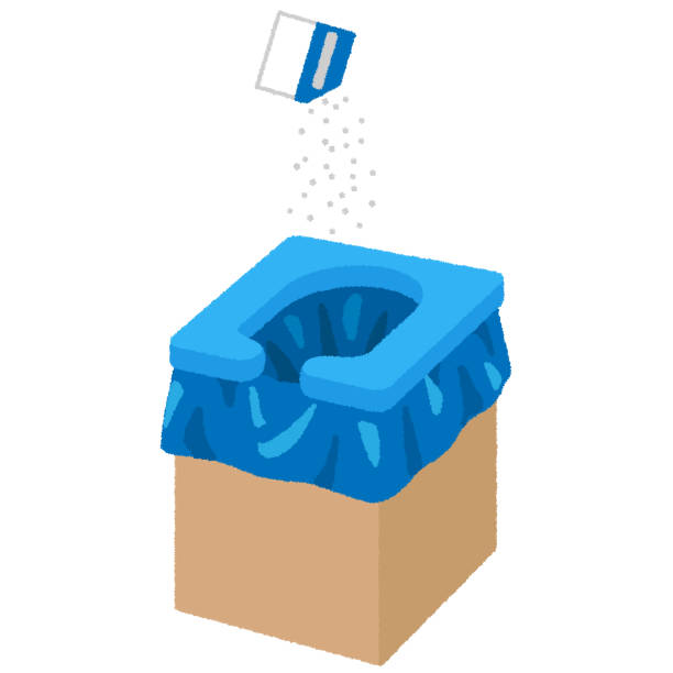 Best Sanitation services for porta potties  in Bellerose, NY
